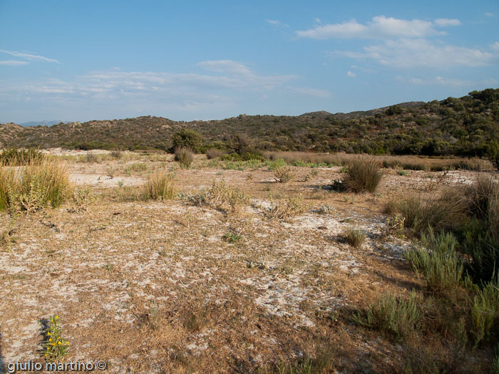 il deserto delle Agriates