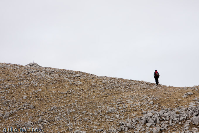 verso la cima...