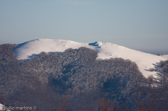 il polveracchio