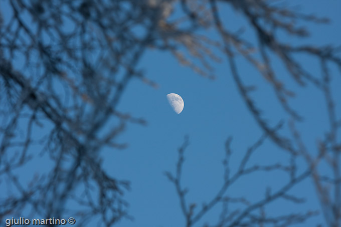 guarda che luna!