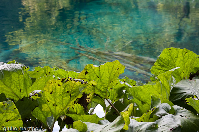 Plitvicka jezera - Parco Nazionale dei laghi di Plitvice