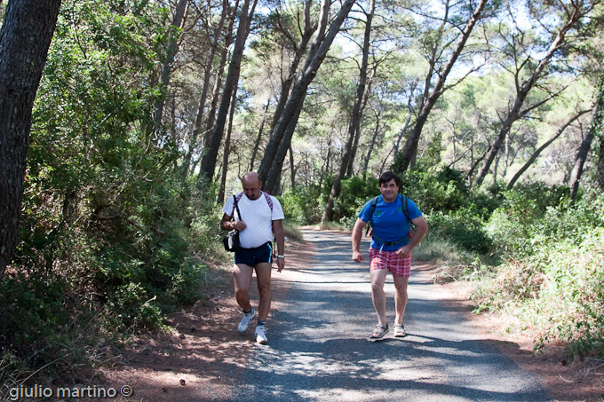 Parco Nazionale Mljet