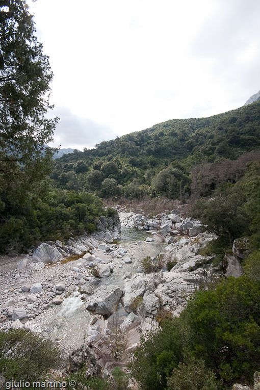 escursione Gole di Gorropu