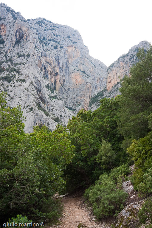 escursione Gole di Gorropu