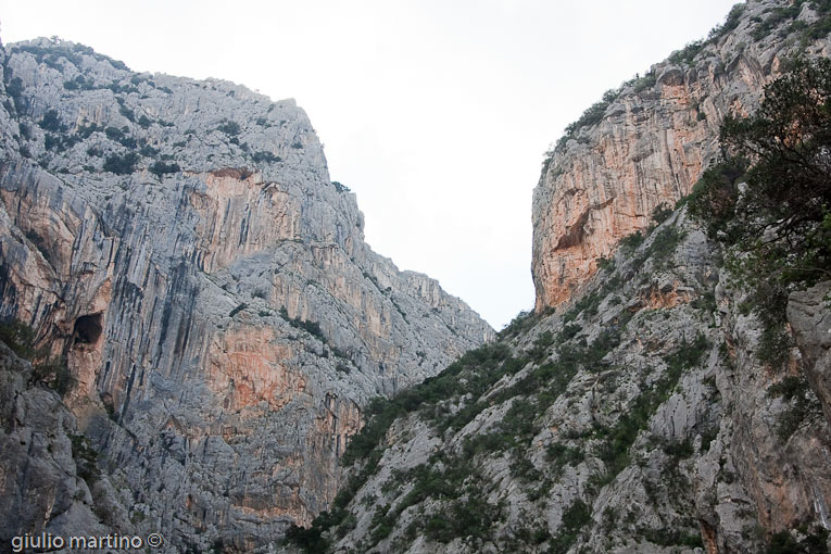 escursione Gole di Gorropu