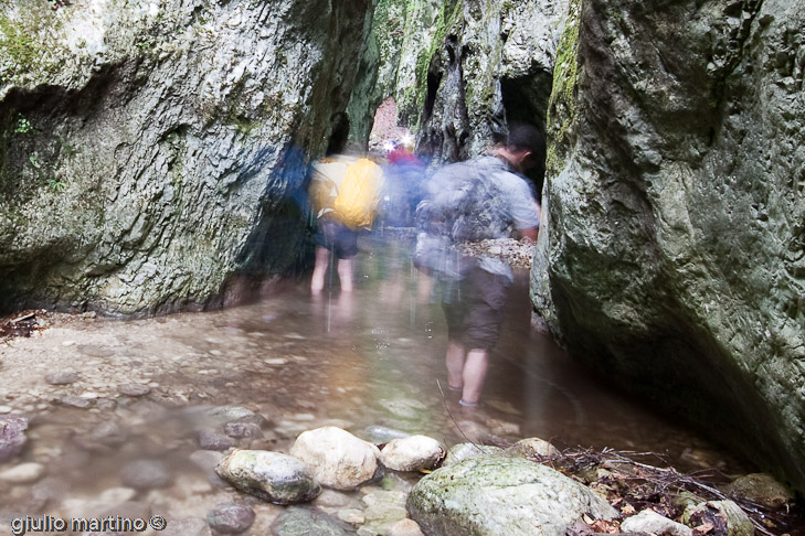 IMG_4607 | 20,0 sec a f / 8,0 - 10 mm - ISO 160