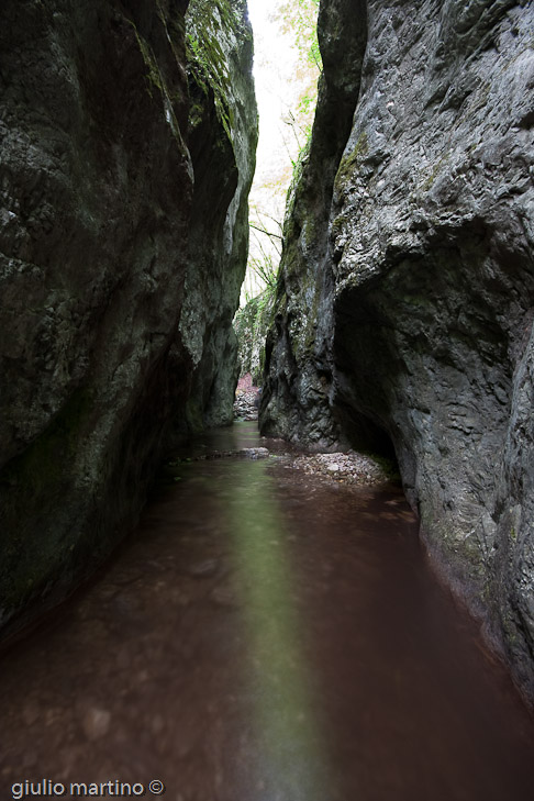 IMG_4610 | 15,0 sec a f / 10 - 10 mm - ISO 250