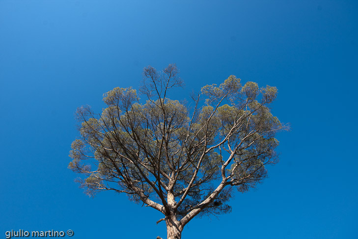 IMG_8132 | 1/60 sec a f / 11 - 10 mm - ISO 100