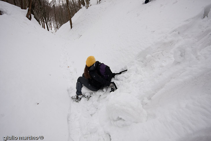 IMG_9008 | 1/80 sec a f / 8,0 - 12 mm - ISO 500