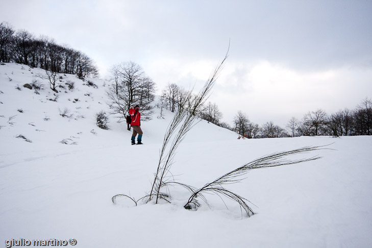 IMG_9020 | 1/640 sec a f / 9,0 - 14 mm - ISO 500