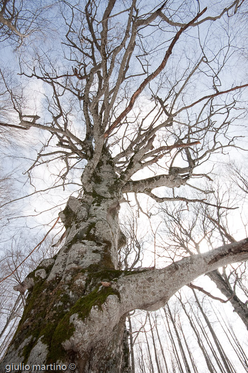 IMG_9388 | 1/80 sec a f / 16 - 10 mm - ISO 160