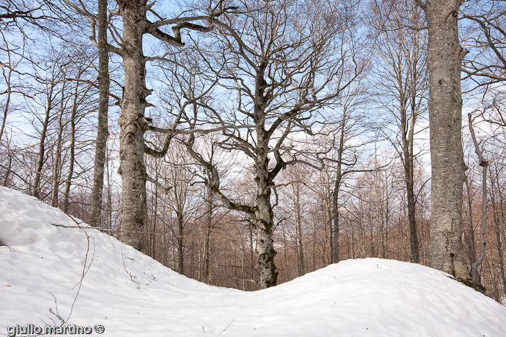 IMG_9390 | 1/80 sec a f / 16 - 17 mm - ISO 160