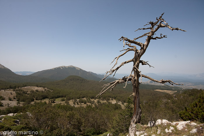 IMG_0328 | 1/160 sec a f / 11 - 10 mm - ISO 125