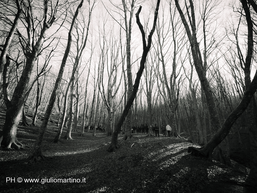 Natale degli Escursionisti. Monte Faito